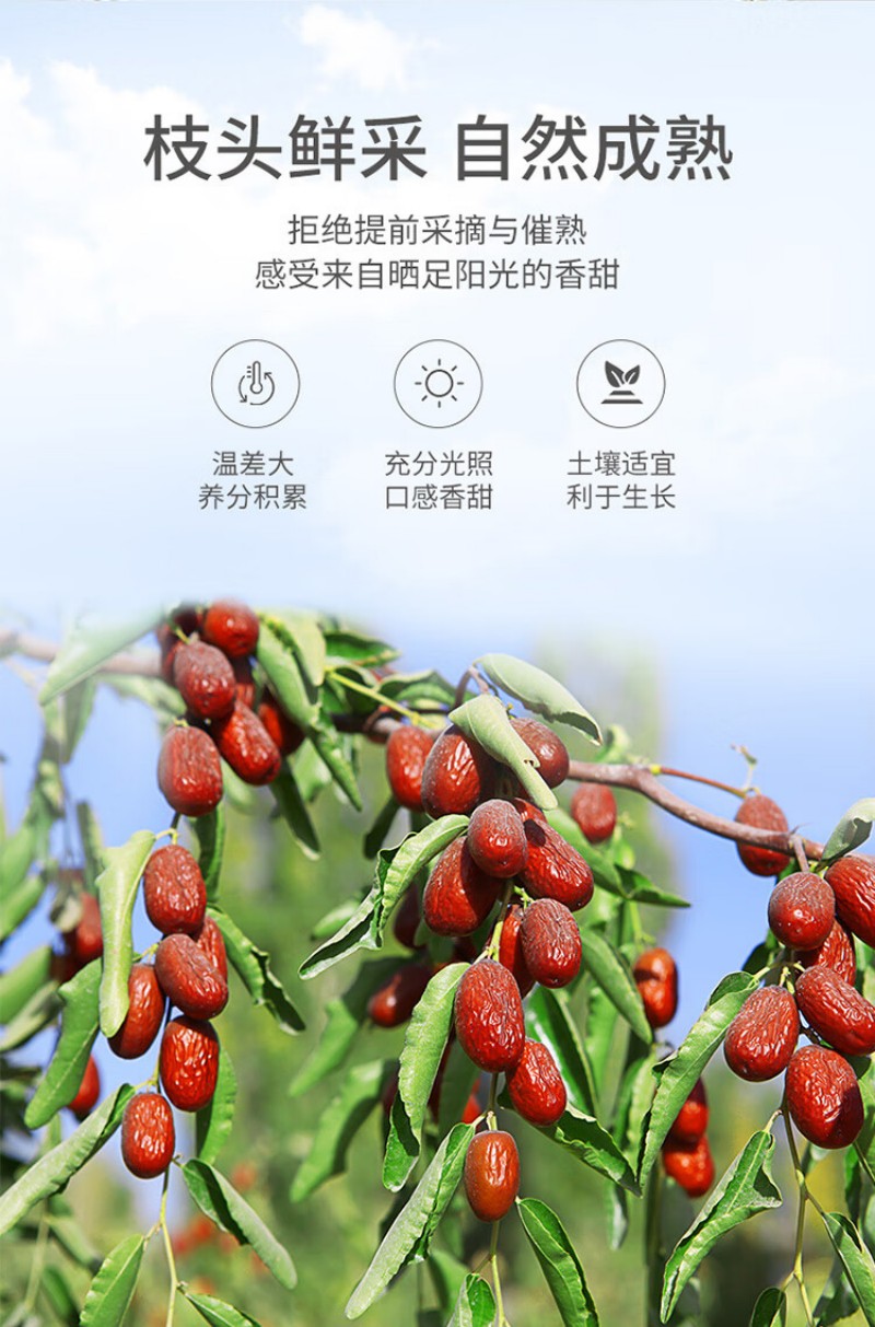 方家铺子 红枣片 200g 无核枣片 1瓶 (单位:瓶)