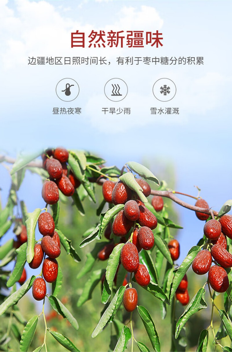 方家铺子 去核灰枣 1000g 袋装 1000g (单位:袋)